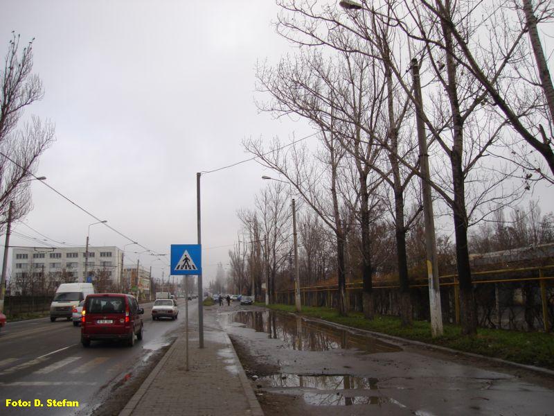 DSC02246.JPG