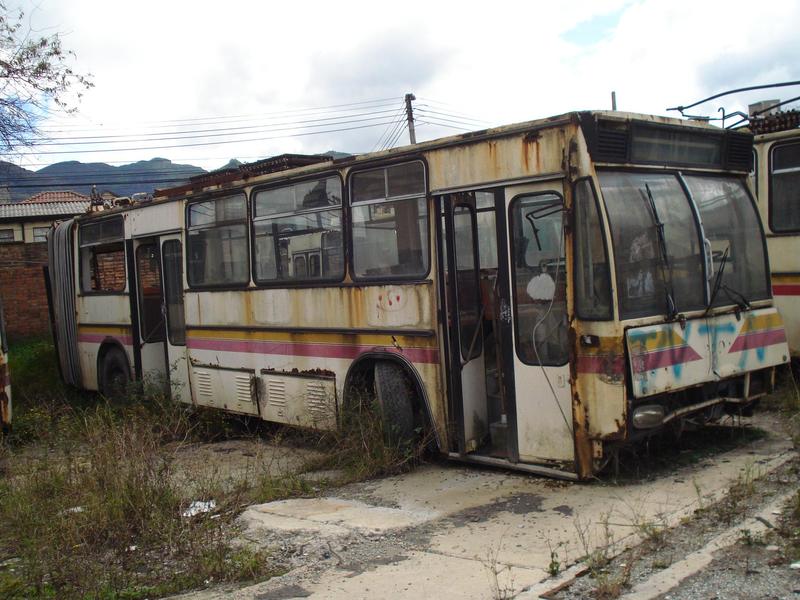 DSC02481.jpg