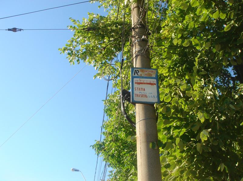 DSC03646.JPG