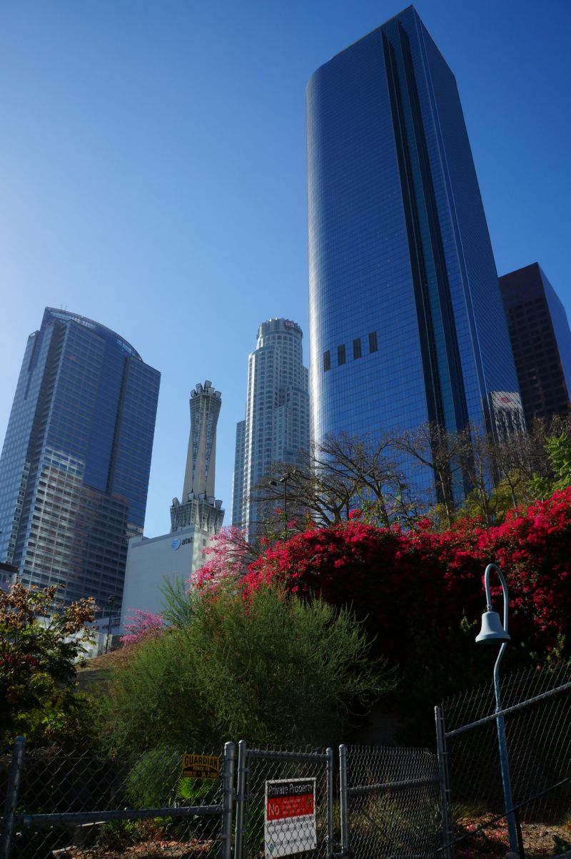DSC04204.jpg