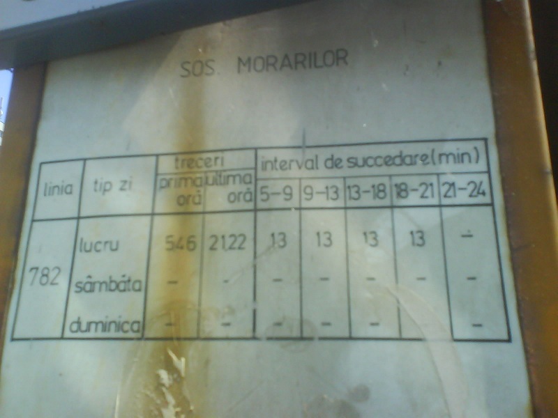DSC05202m.jpg
