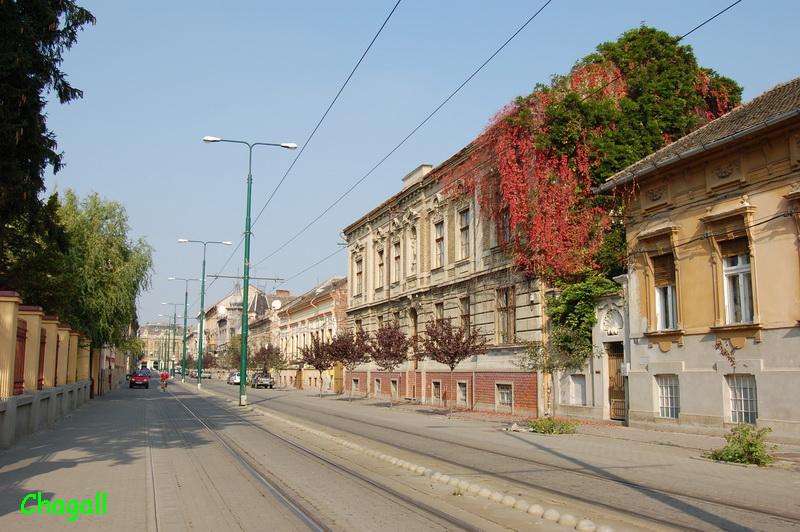 DSC_0277.JPG
