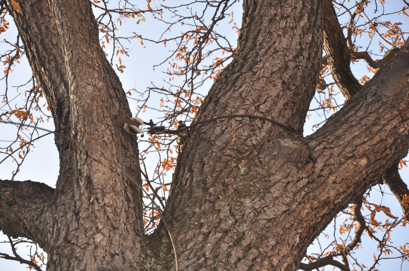 DSC_7725.JPG