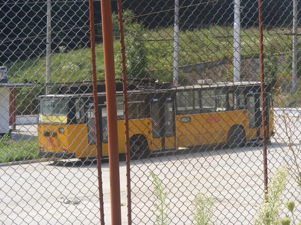 DSCF0601.JPG