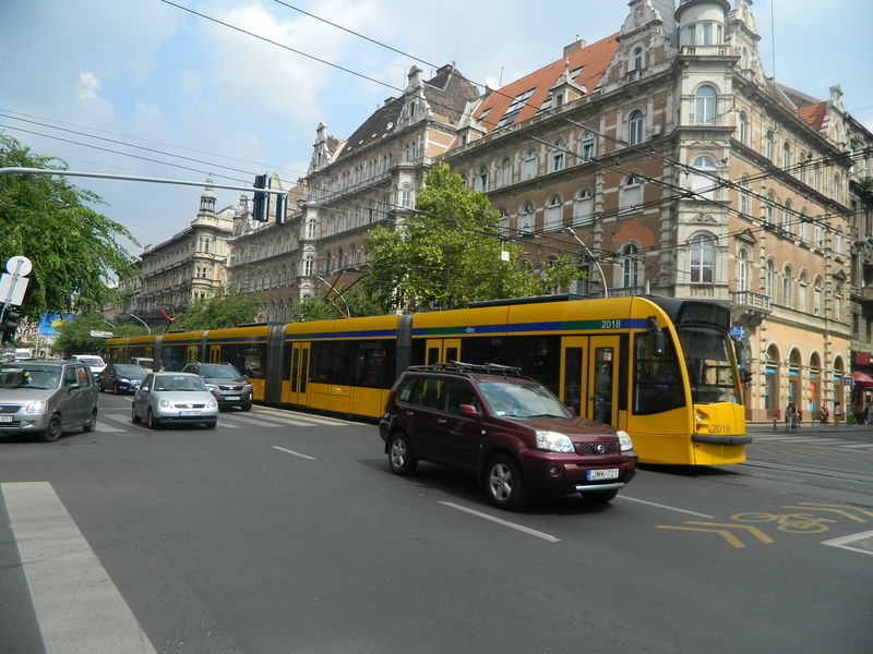 DSCN0056.JPG