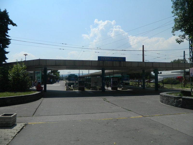DSCN0220.JPG