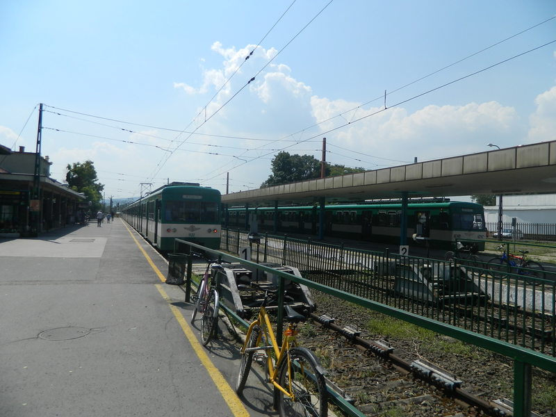 DSCN0221.JPG