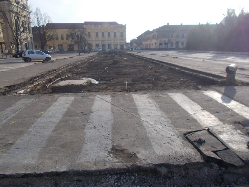 DSCN0479.JPG