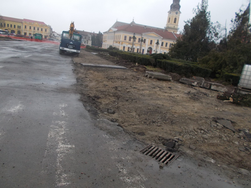 DSCN0510.JPG