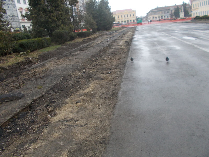 DSCN0511.JPG