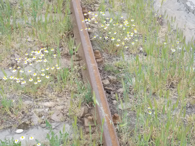 DSCN0765.JPG