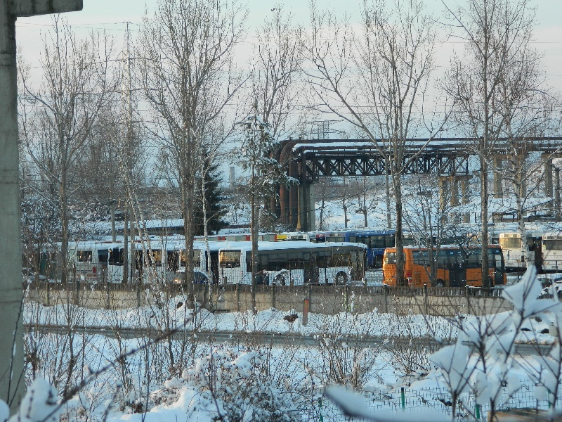 DSCN1068.jpg