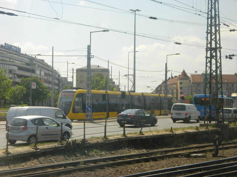 DSCN6879.JPG