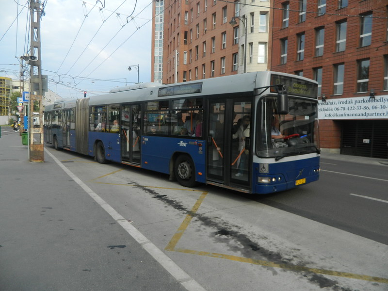 DSCN6901.JPG