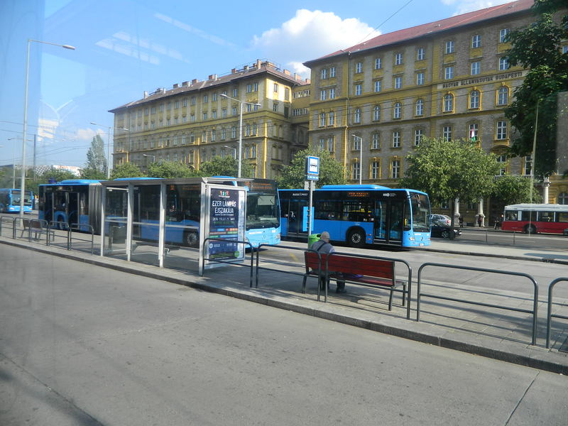 DSCN7382.JPG