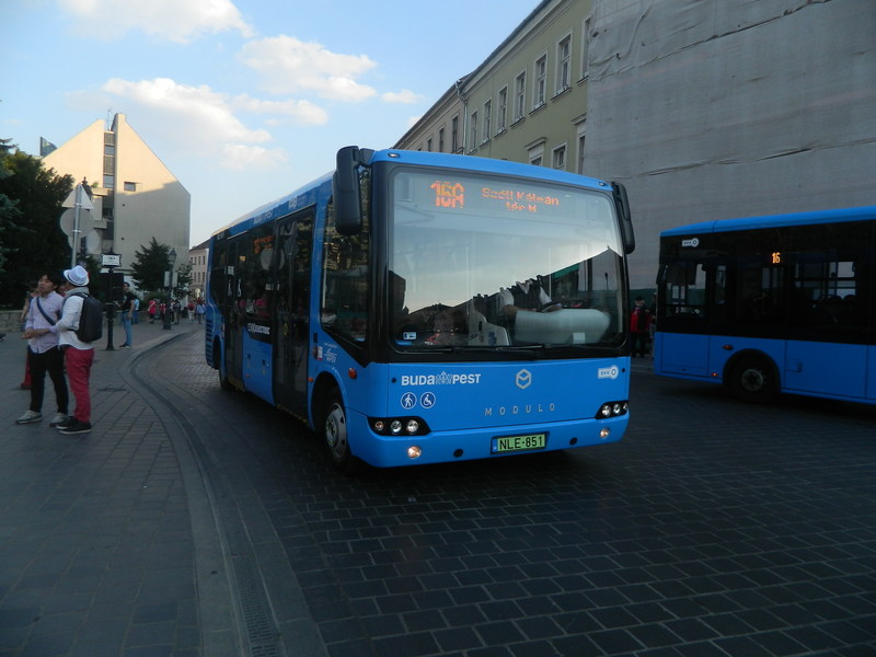 DSCN7402.JPG
