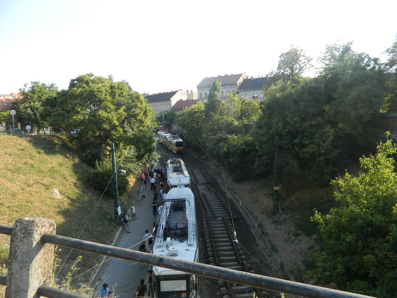 DSCN9923.JPG