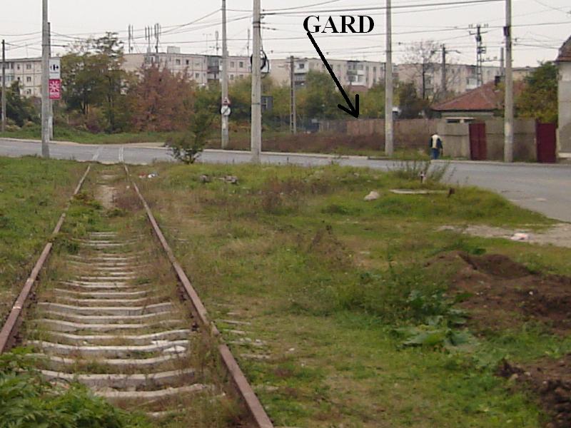 gard.JPG