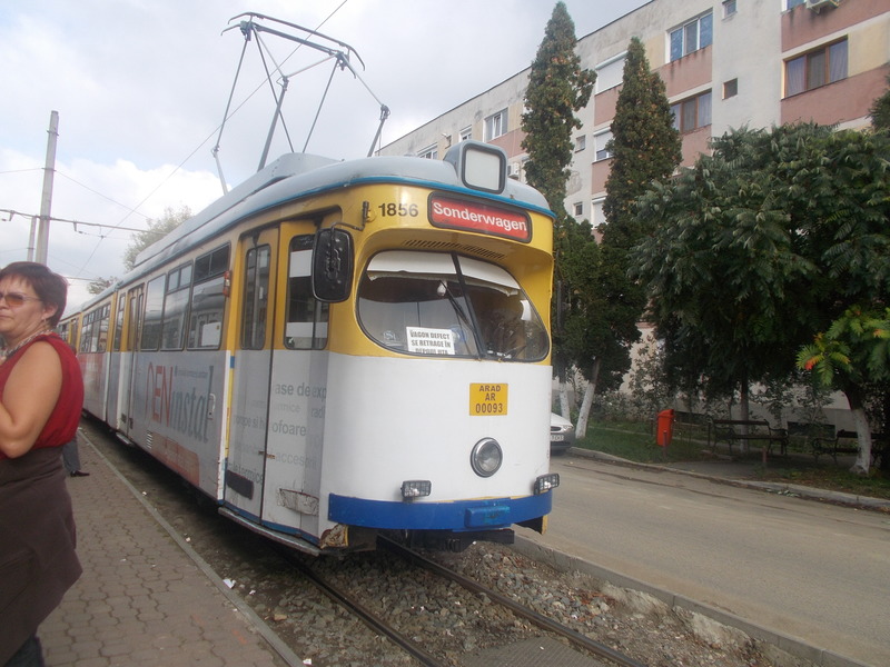 GT8 1856.JPG