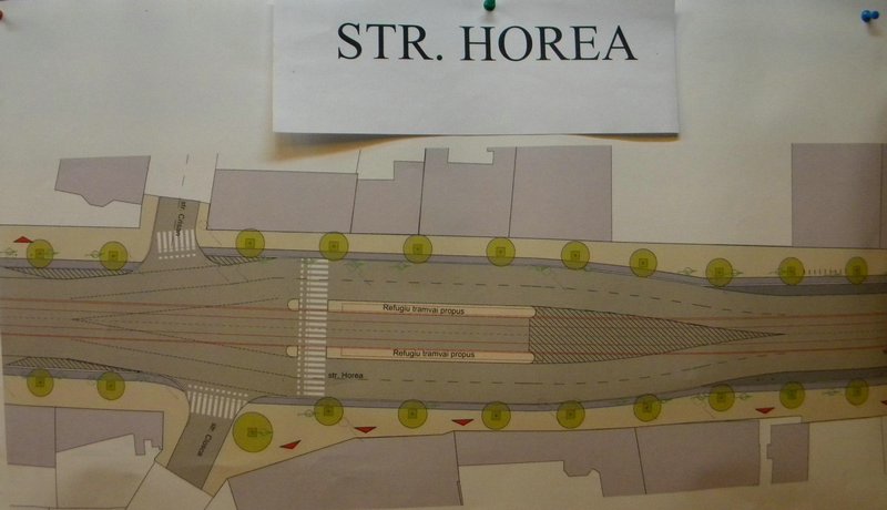 Horea.jpg