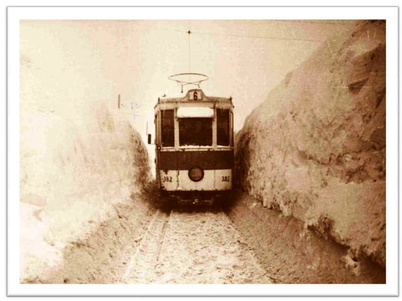 iarna-1954[1].jpg