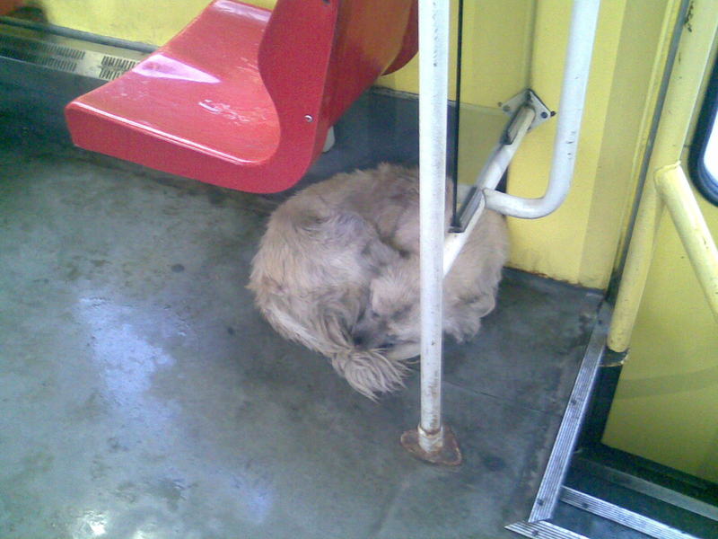 Imag013.jpg