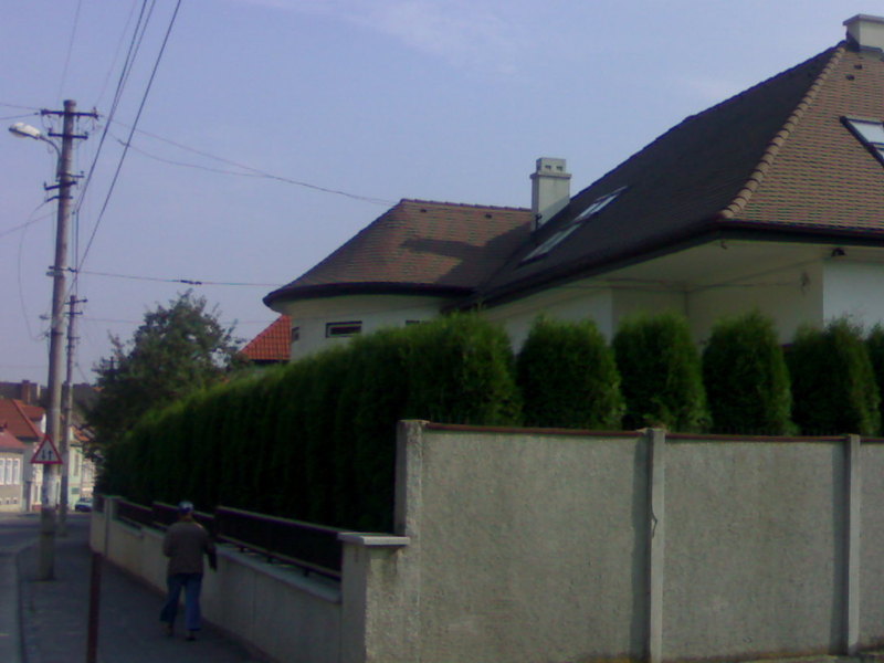 Image3822.jpg