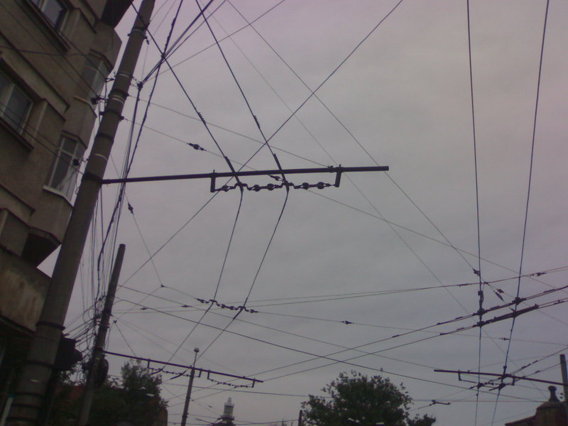 Image6412.jpg