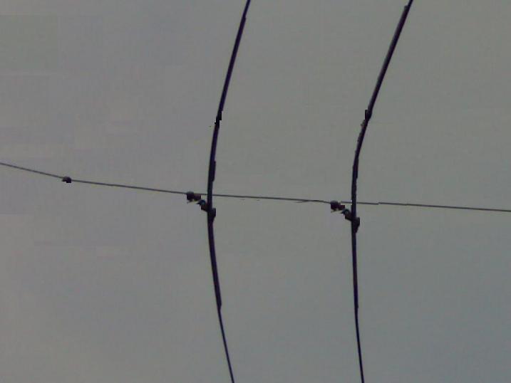 image650_904.jpg