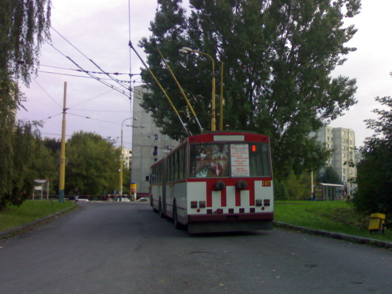 Image6805.jpg
