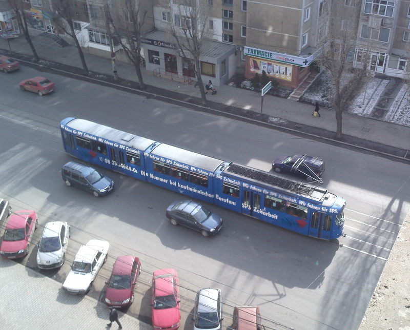 IMG1181.jpg