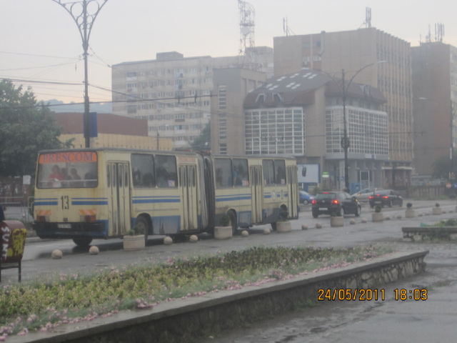 img3453g.jpg