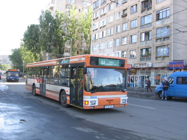 IMG_0913.JPG