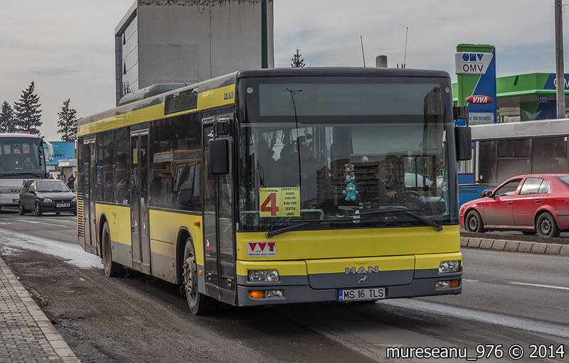 IMG_1190.jpg