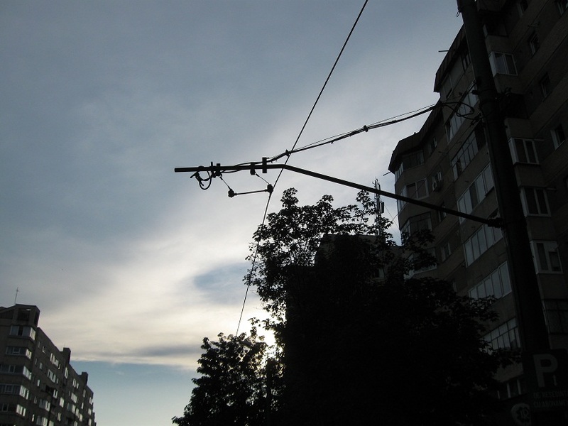 IMG_1665.jpg