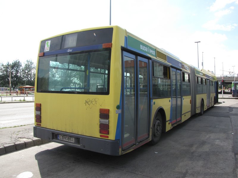 IMG_4945.JPG