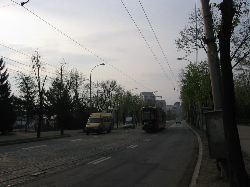 IMG_5515.JPG