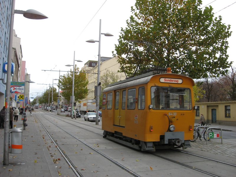 IMG_5666.JPG