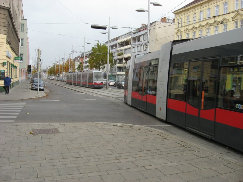 IMG_5672.JPG