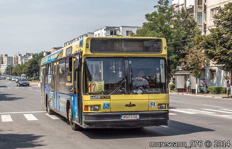 IMG_6286.jpg