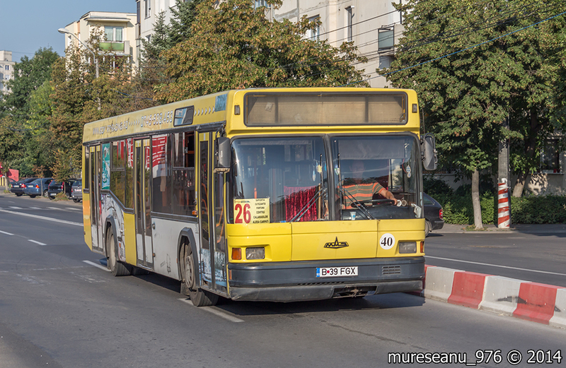 IMG_6446.jpg