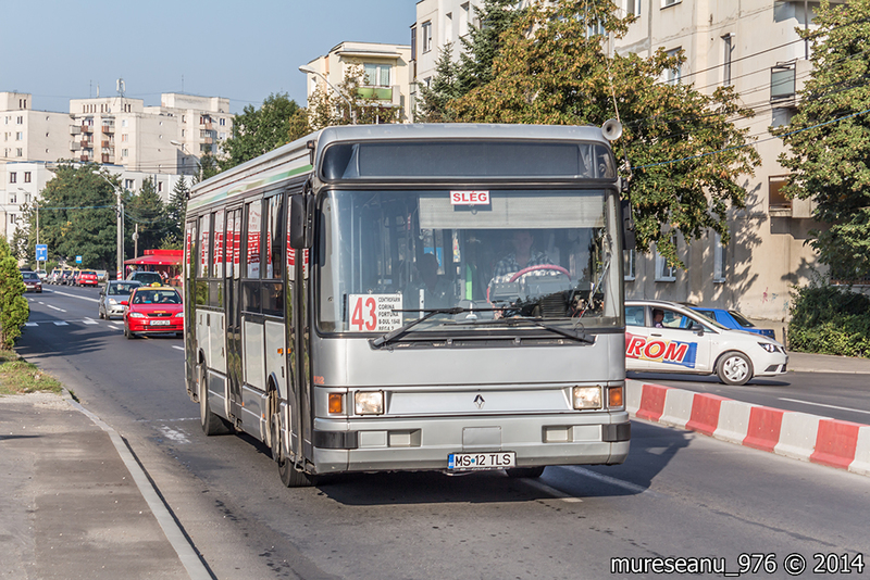 IMG_6448.jpg