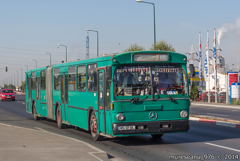 IMG_6888.jpg
