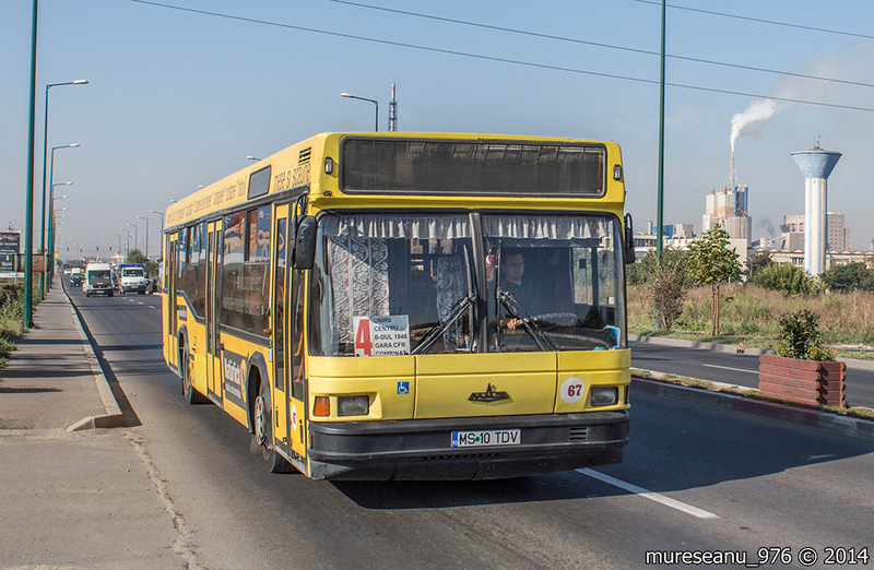 IMG_6897.jpg