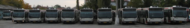 IMG_7005.JPG