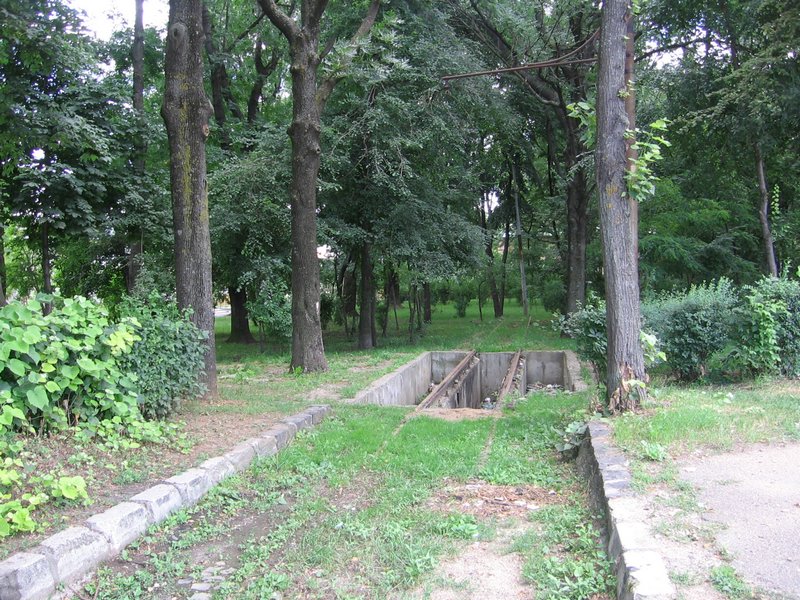 IMG_7009.JPG