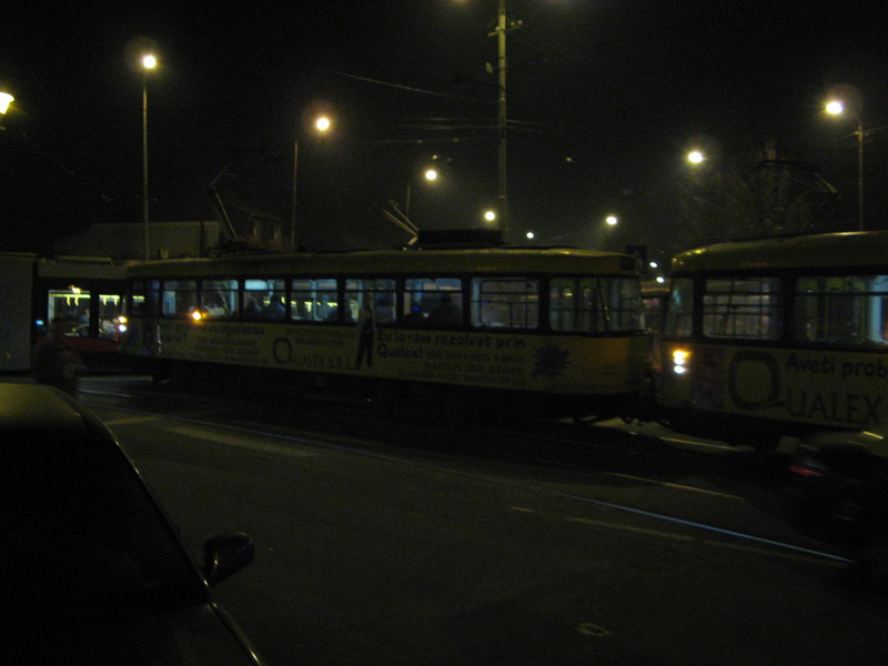 IMG_7036.jpg