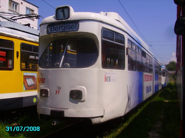 IMGP4981.JPG
