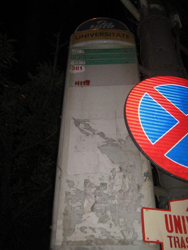 Intalnire veri, Curtea Berarilor, 27 iulie 065.jpg