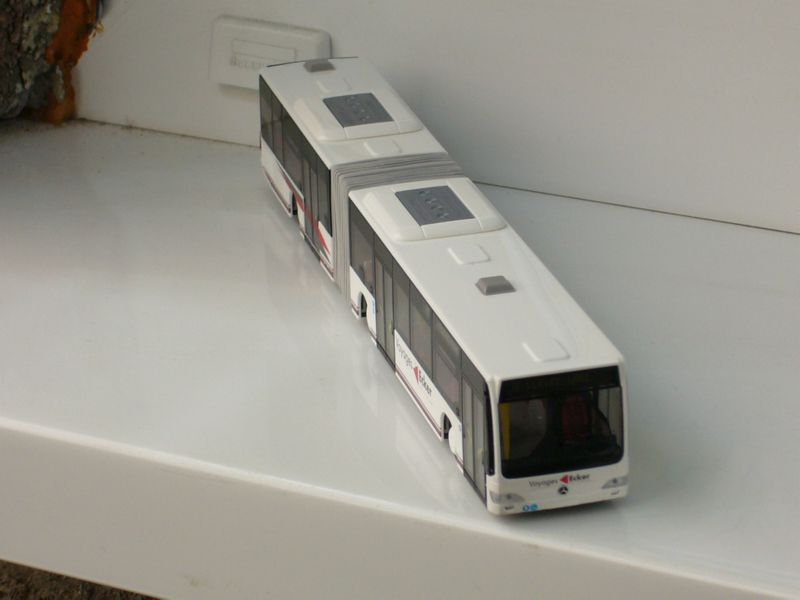 JUCARII-0708.jpg